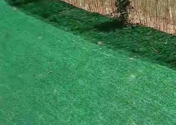 公寓 Janas 阿尔盖罗